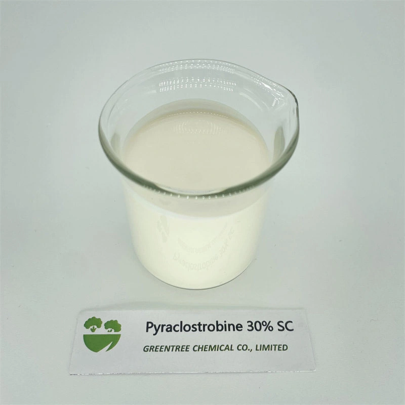 CAS No. 175013-18-0 Fungicide &amp; Bactericide Pyraclostrobine 30% Sc for Sale