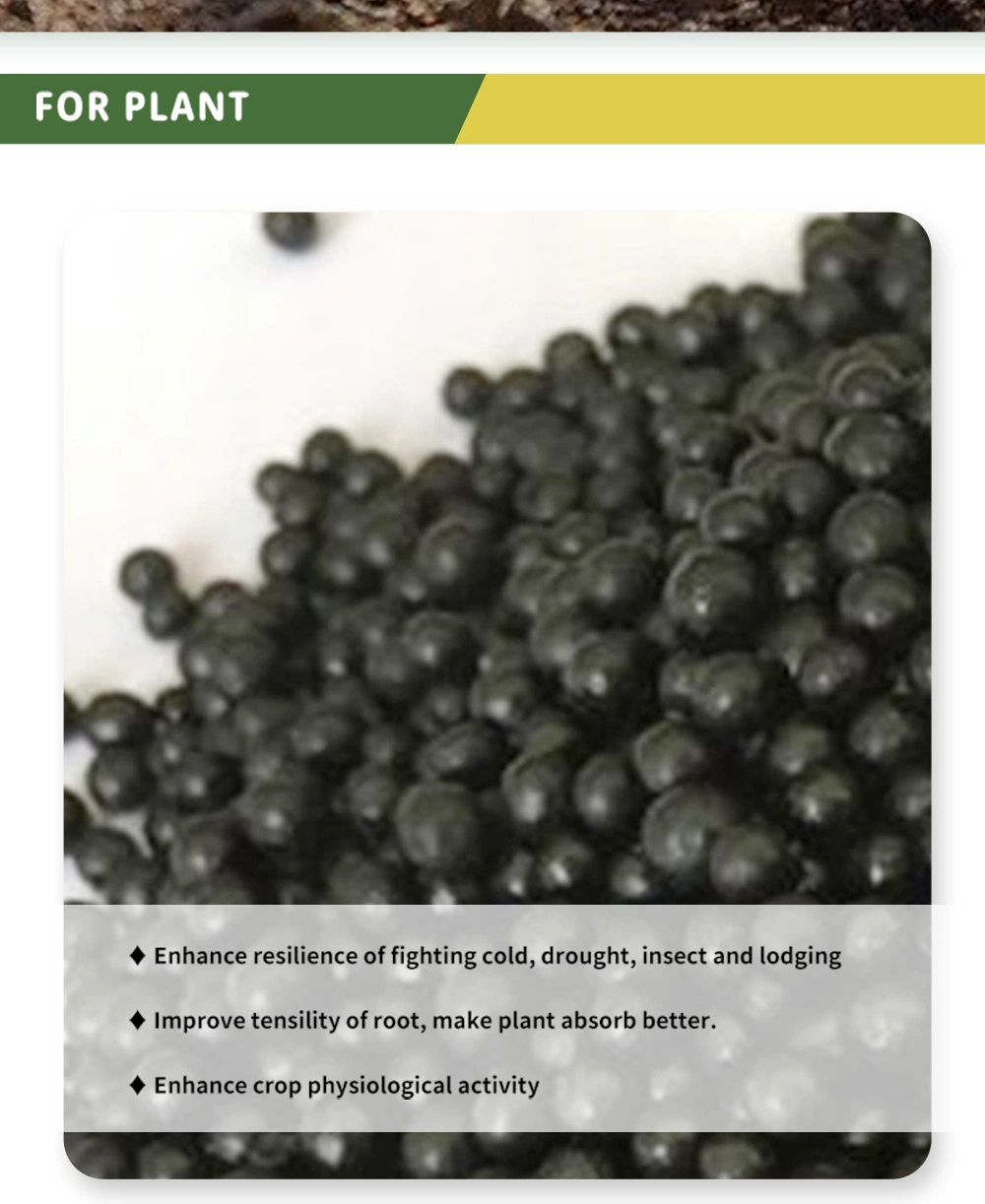 Bulk Potassium Humate Humic Acids High-Quality Water Soluble Organic Fertilizer 21 Manufacturer Supplier Plant