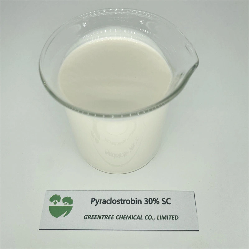 CAS No. 175013-18-0 Fungicide &amp; Bactericide Pyraclostrobine 30% Sc for Sale